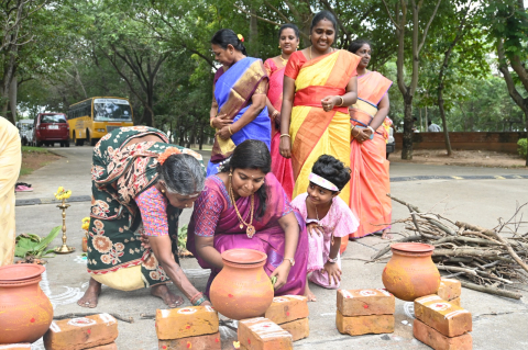 pongal celebration